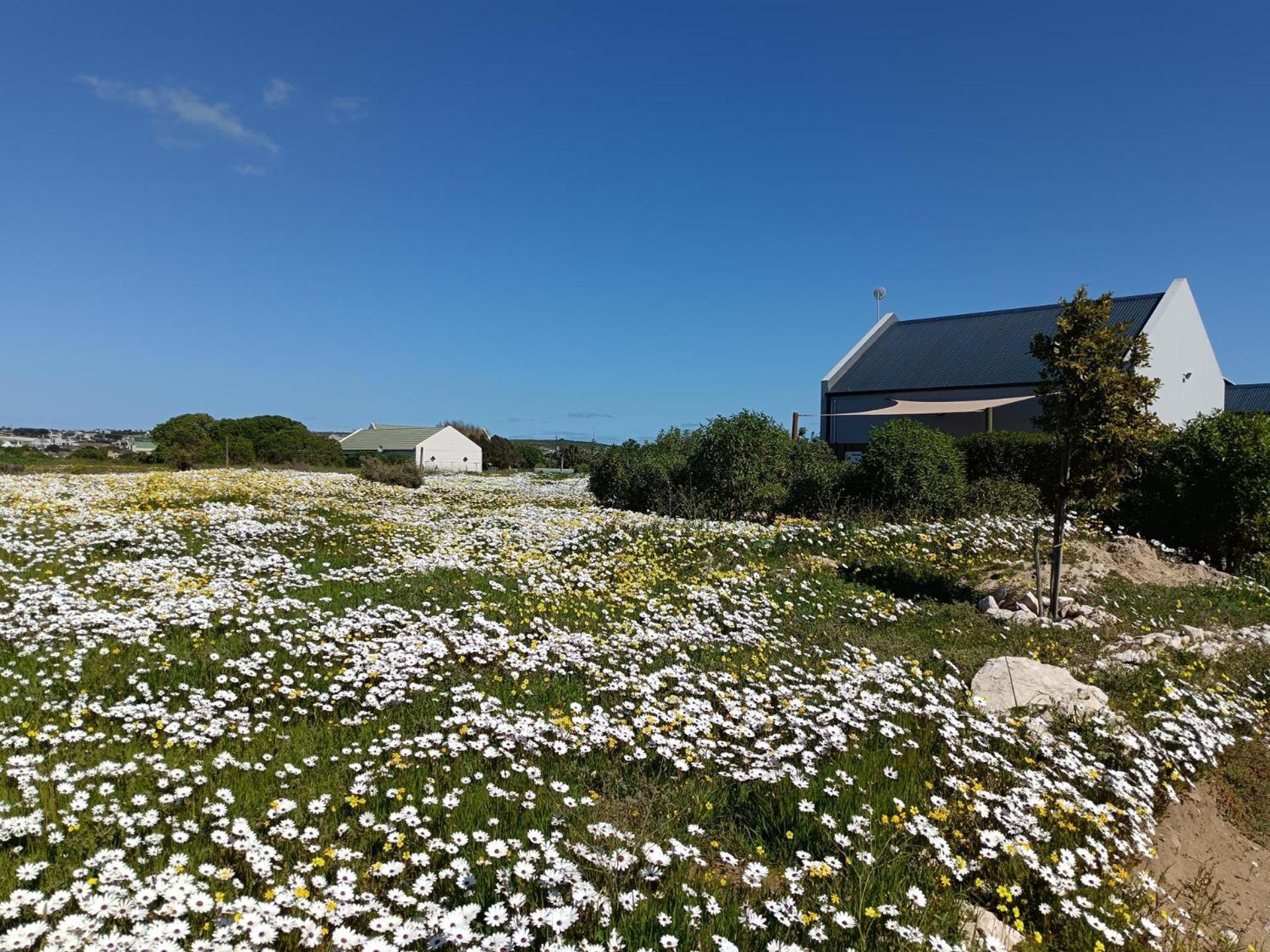 Silver Oaks Airbnb Langebaan Buitenkant foto